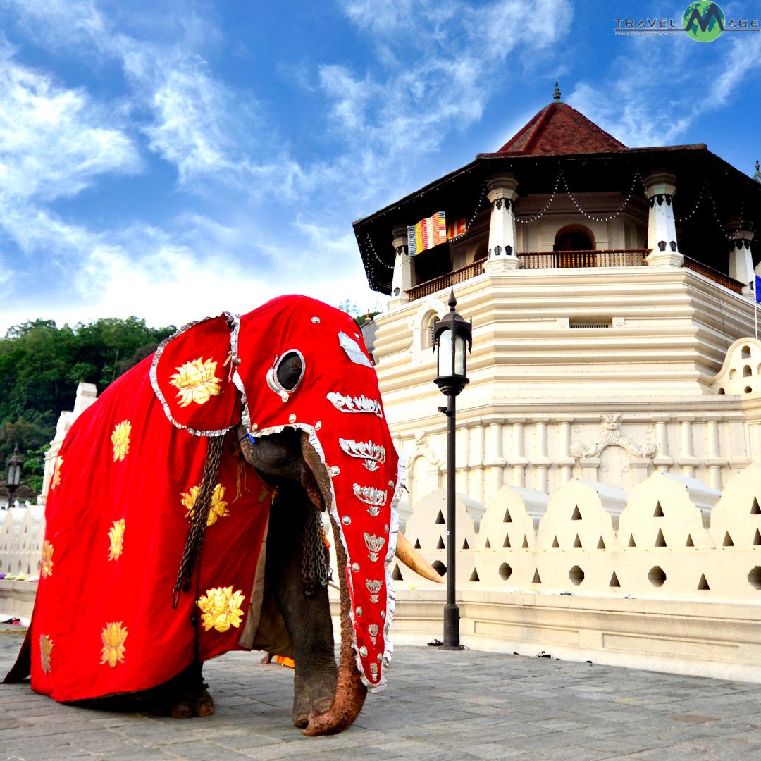 B2B Travel Company B2B travel solutions international travel DMC wholesale travel services global travel partners